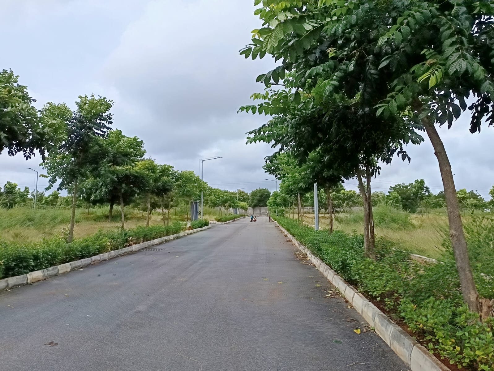 Open plots